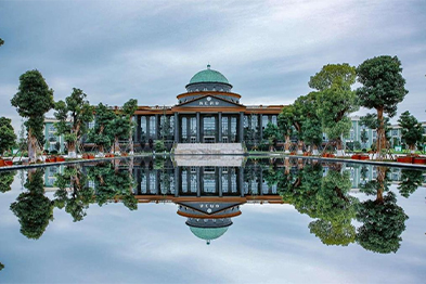 �Ĵ�����������������ҩҵ���޹�˾